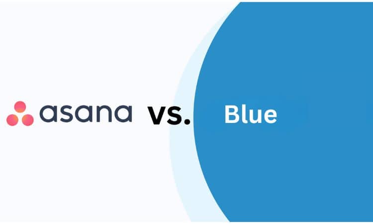 Blue vs Asana: Which Tool Best Fits Your Workflow?